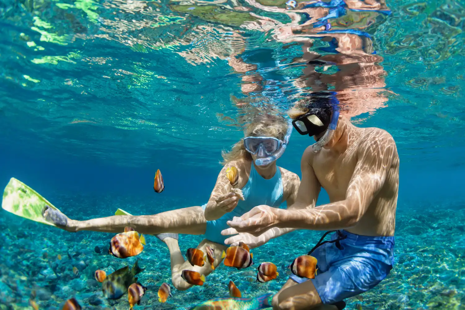Immersioni e Snorkeling